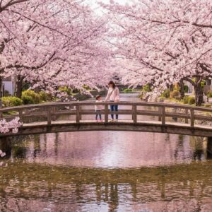 愛知の桜名所！地元民が教える絶景スポット完全ガイド