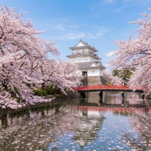 神奈川の桜名所