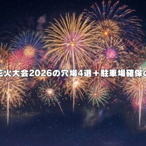 延岡花火大会2026の穴場4選＋駐車場確保の裏技
