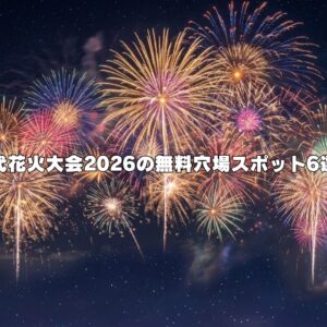 能代花火大会2026の無料穴場スポット6選！