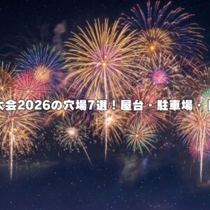 豊橋花火大会2026の穴場7選！屋台・駐車場・トイレは？