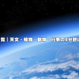 8月の季語一覧｜天文・植物・動物・行事の4分野に分けて紹介